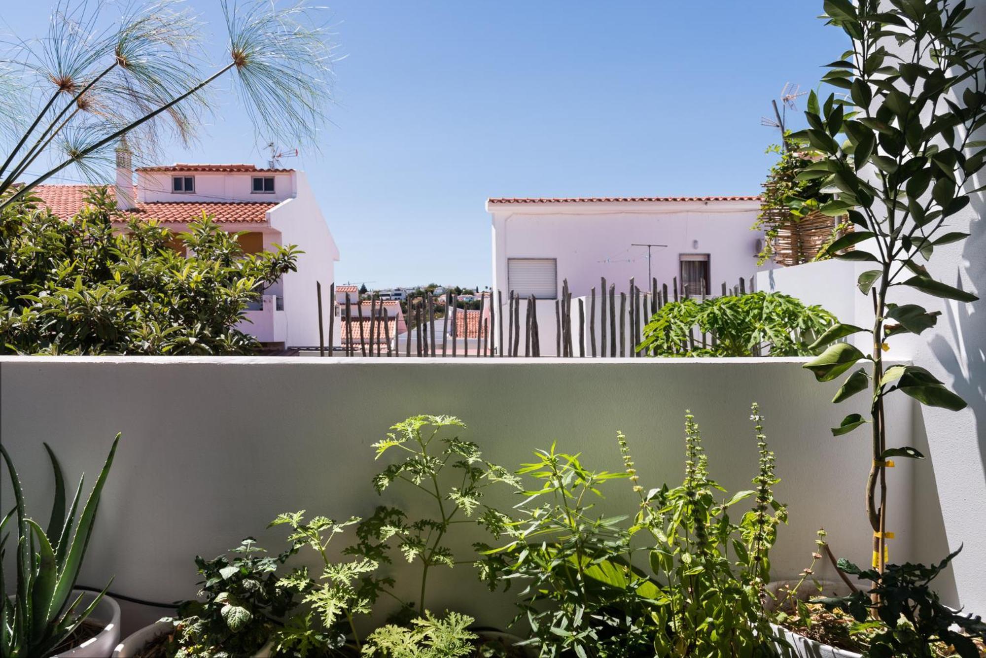 Altanure Almatere - Food Forest Boutique Stay Tavira Kültér fotó